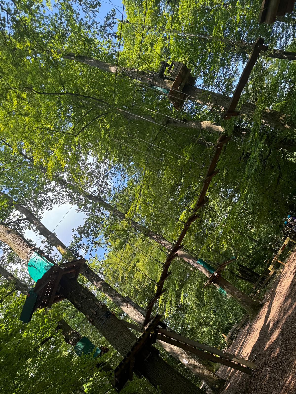 Einblick%20in%20den%20Kletterpark